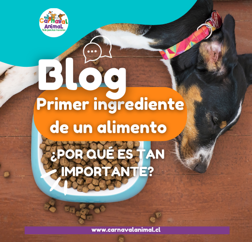 Primer ingrediente de un alimento: ¿por qué es tan importante?