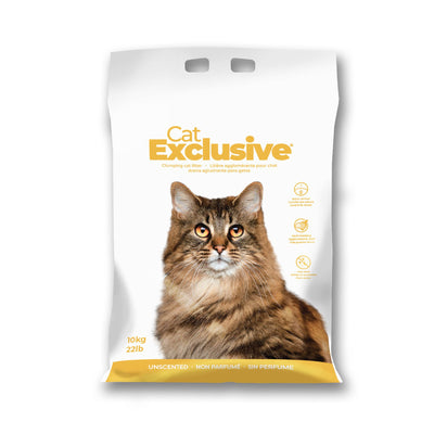 Arena cat exclusive (10k)