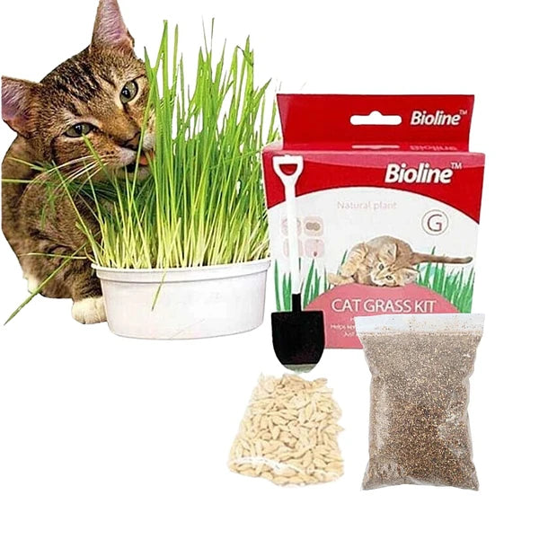 Bioline Cat Grass Kit 12g