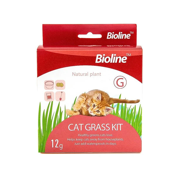 Bioline Cat Grass Kit 12g