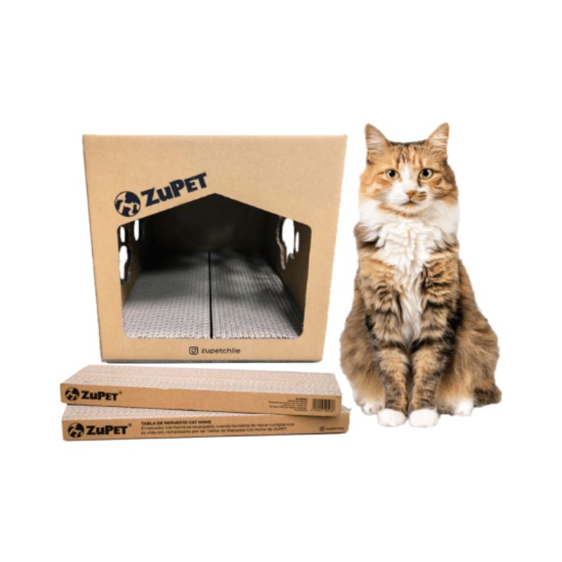 🐱 ZuPet Rascador Cat Home 2 en 1