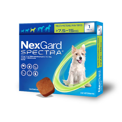 Nexgard Spectra 7.6 - 15kg 1 Comprimido