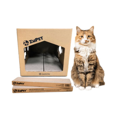 🐱  Zupet rascador Cat Home 2 En 1