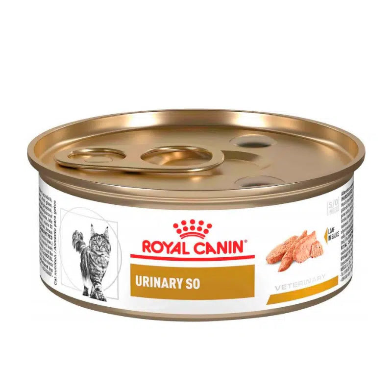 Royal Canin Lata Urinary S/O Feline 145Gr