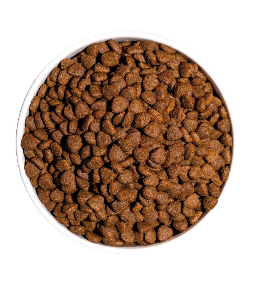 OWNAT GATO CLASSIC KITTEN 1.5 KG