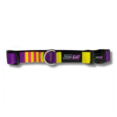 COLLAR PARA PERRO VITALFUN COLECCIÓN POP ART